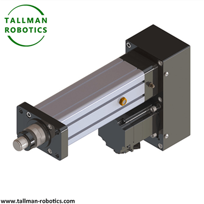 Cilindro Servo Eléctrico